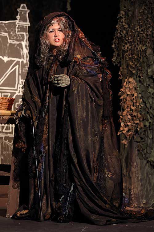 Wicked Witch. Scene from Into The Woods